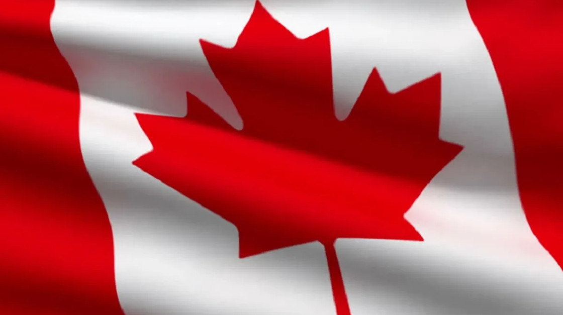 New Casinos Recommended for Canadian Players
